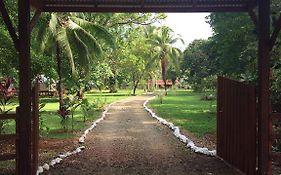 Sabalo Lodge Tours And Cabins