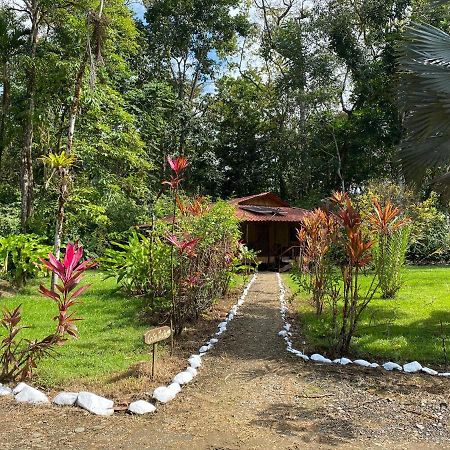 Sabalo Lodge Tours And Cabins Sierpe Exterior photo