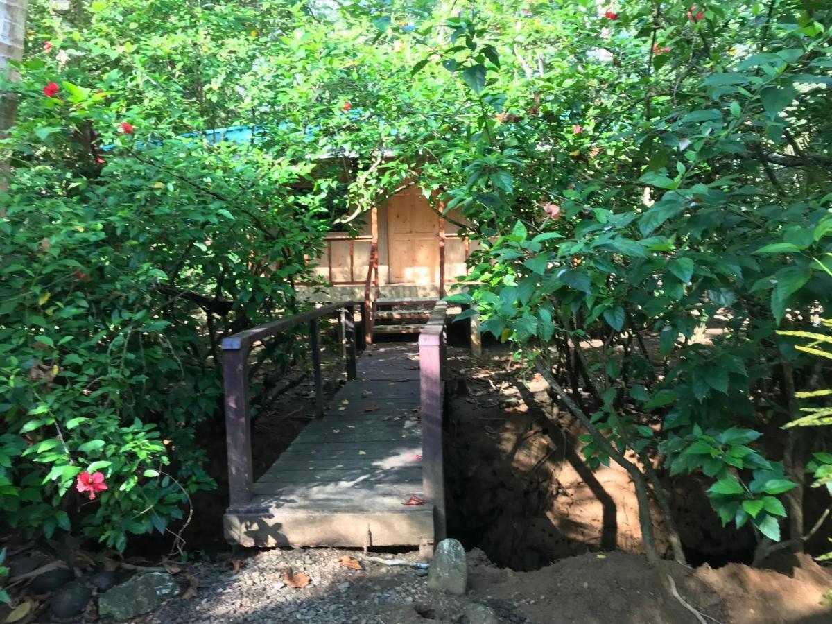 Sabalo Lodge Tours And Cabins Sierpe Exterior photo