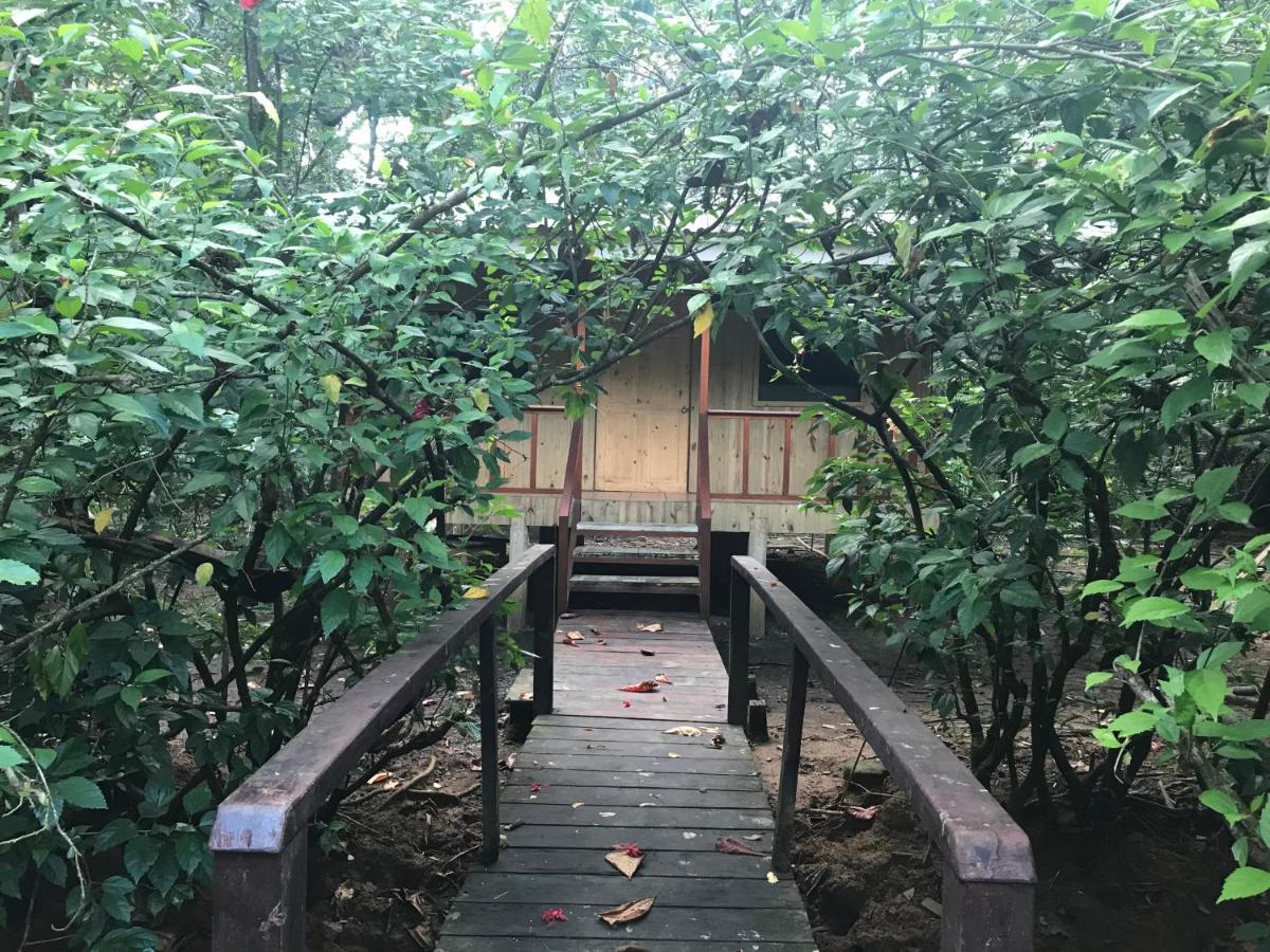 Sabalo Lodge Tours And Cabins Sierpe Exterior photo