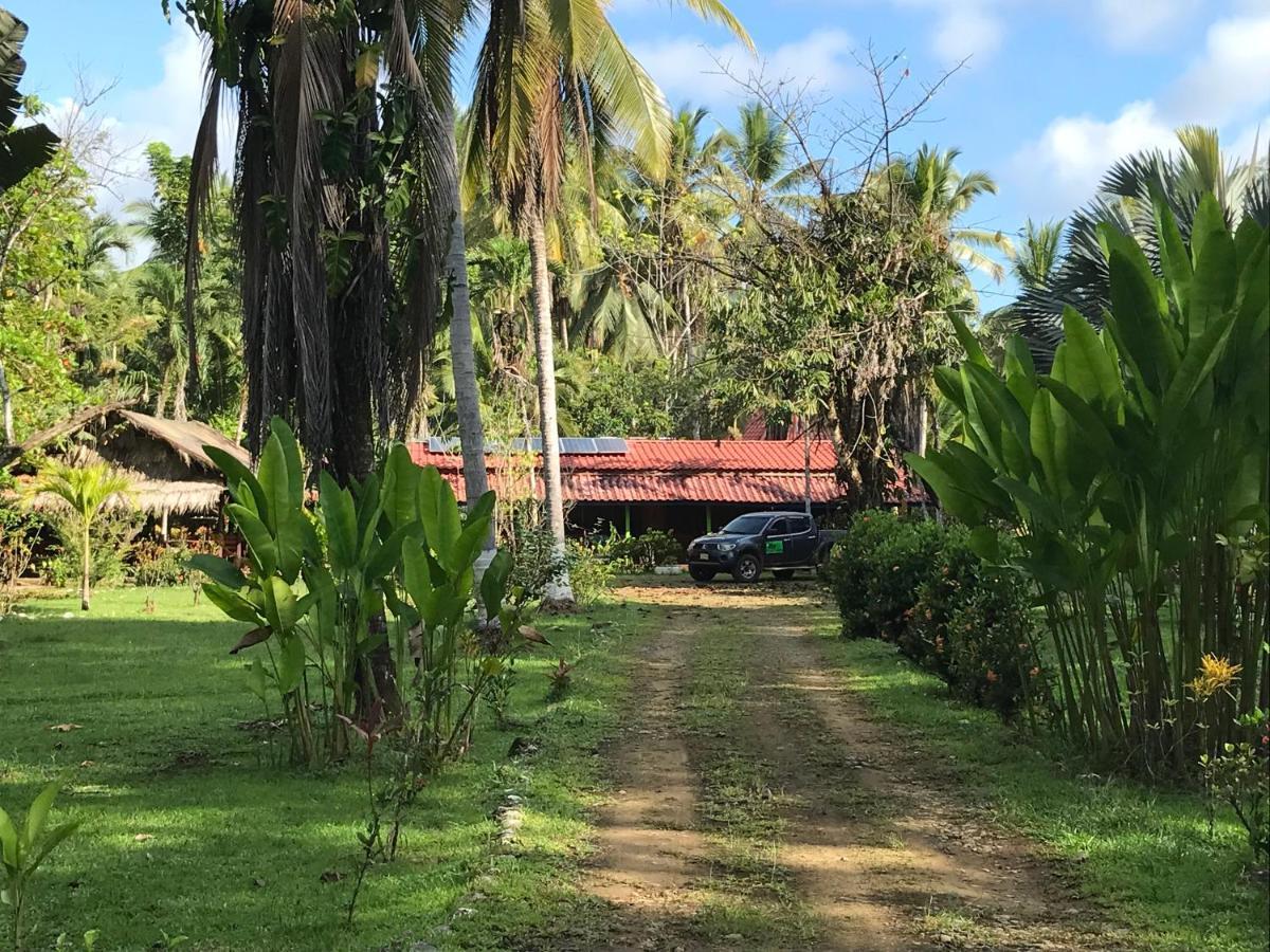 Sabalo Lodge Tours And Cabins Sierpe Exterior photo