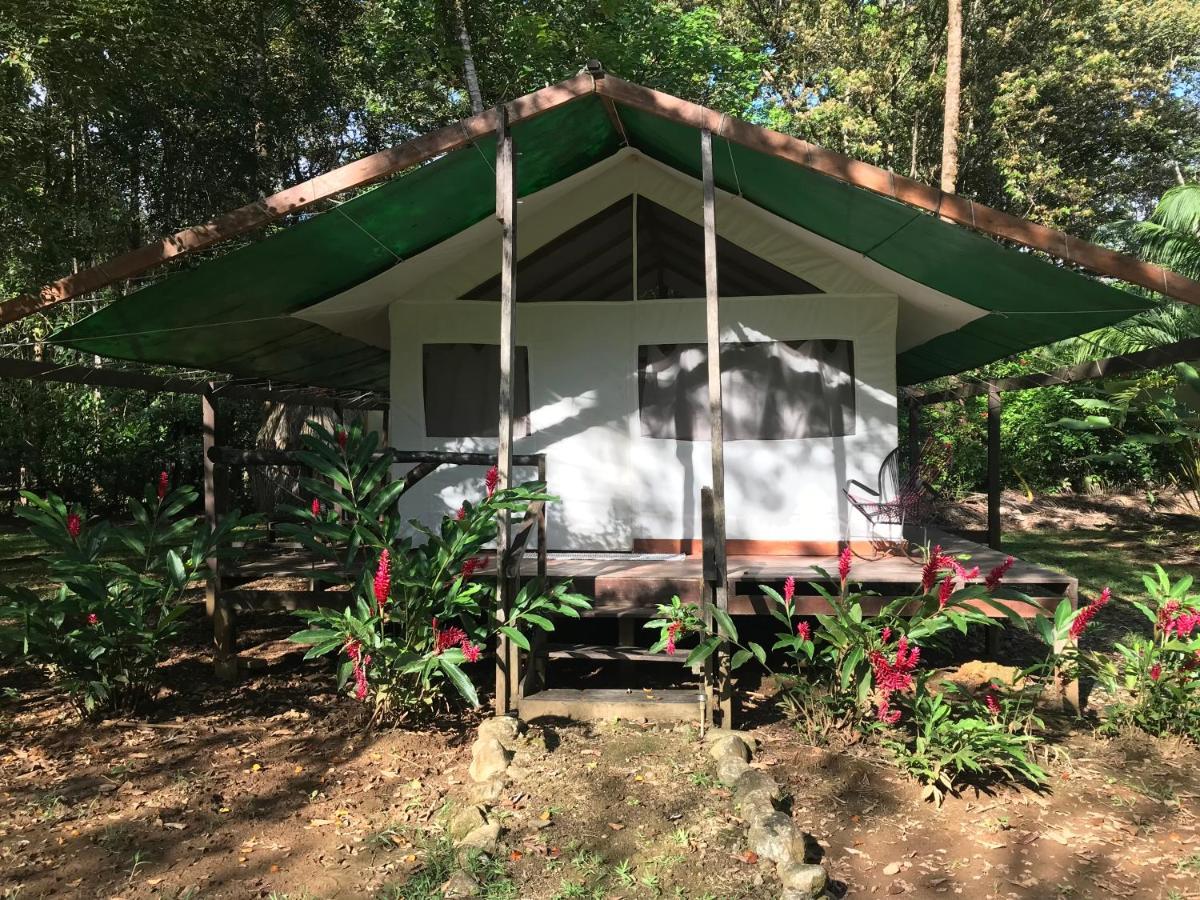 Sabalo Lodge Tours And Cabins Sierpe Exterior photo