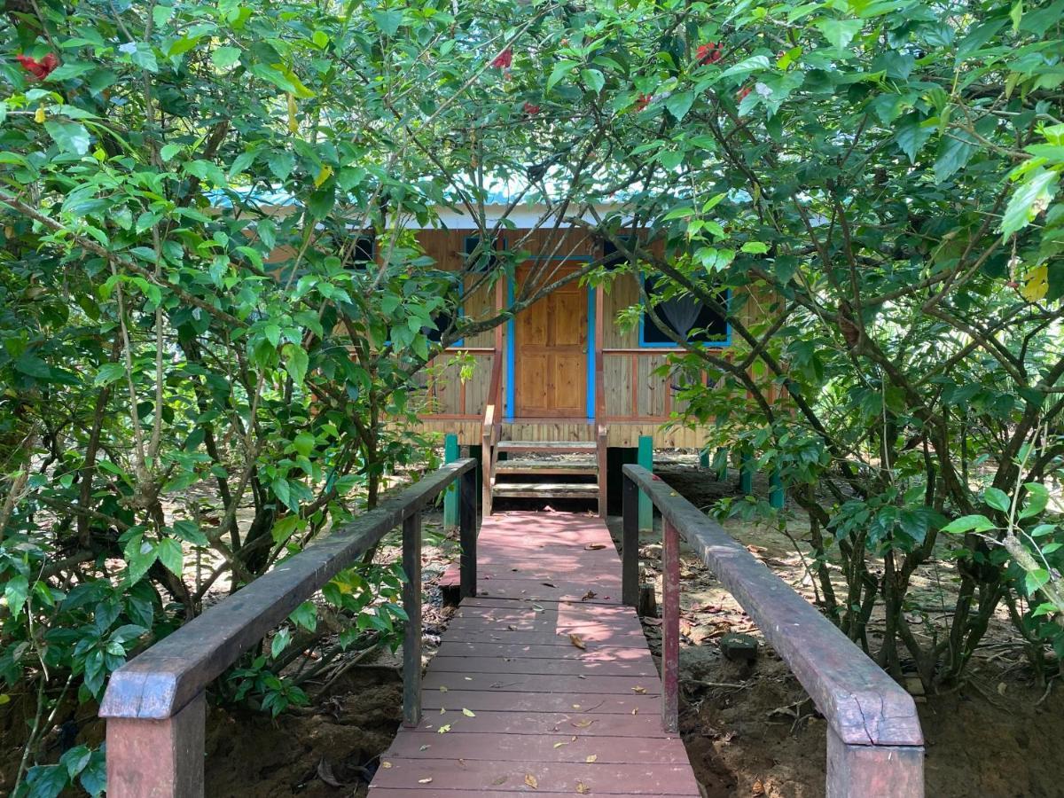 Sabalo Lodge Tours And Cabins Sierpe Exterior photo