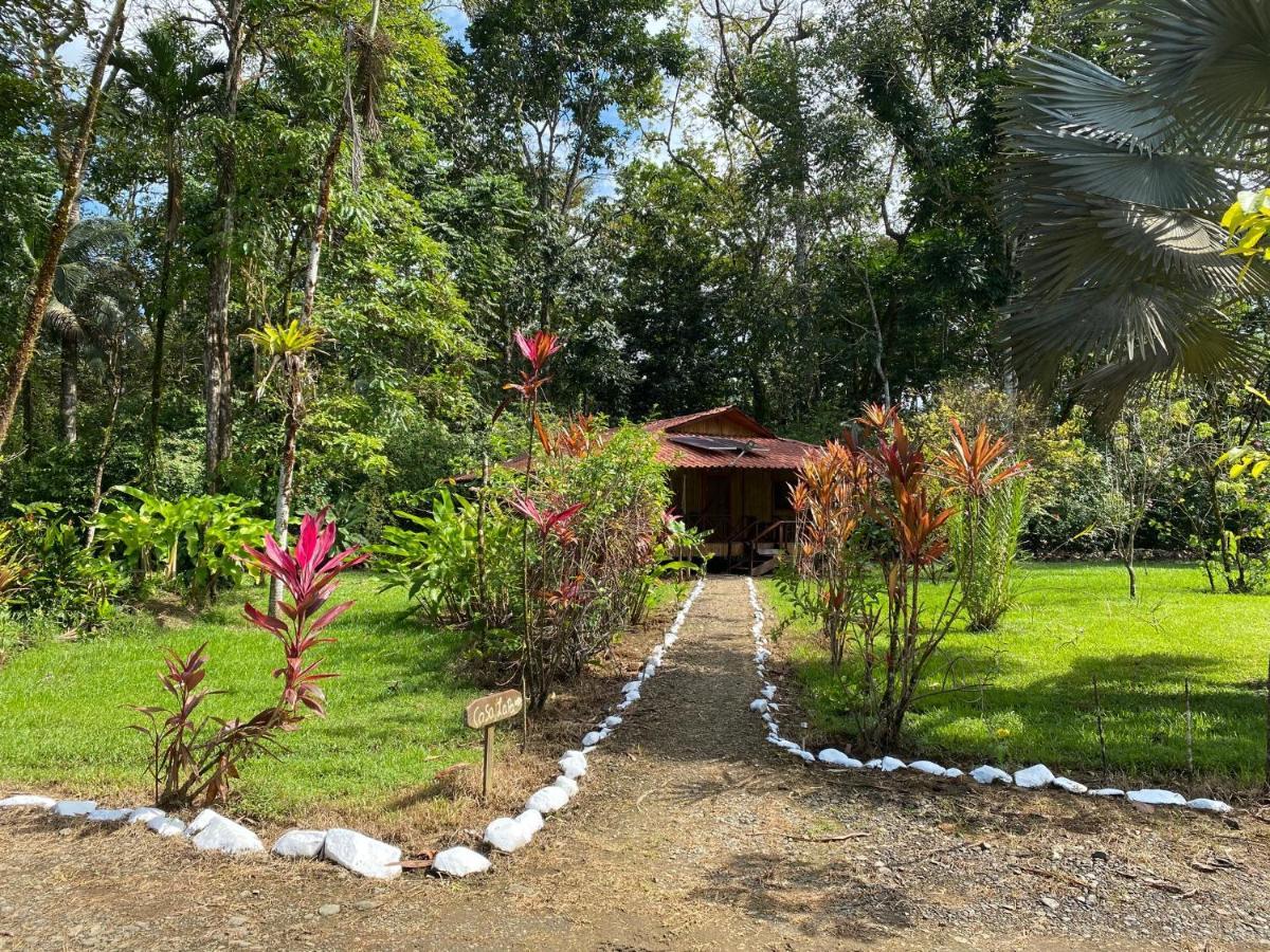 Sabalo Lodge Tours And Cabins Sierpe Exterior photo