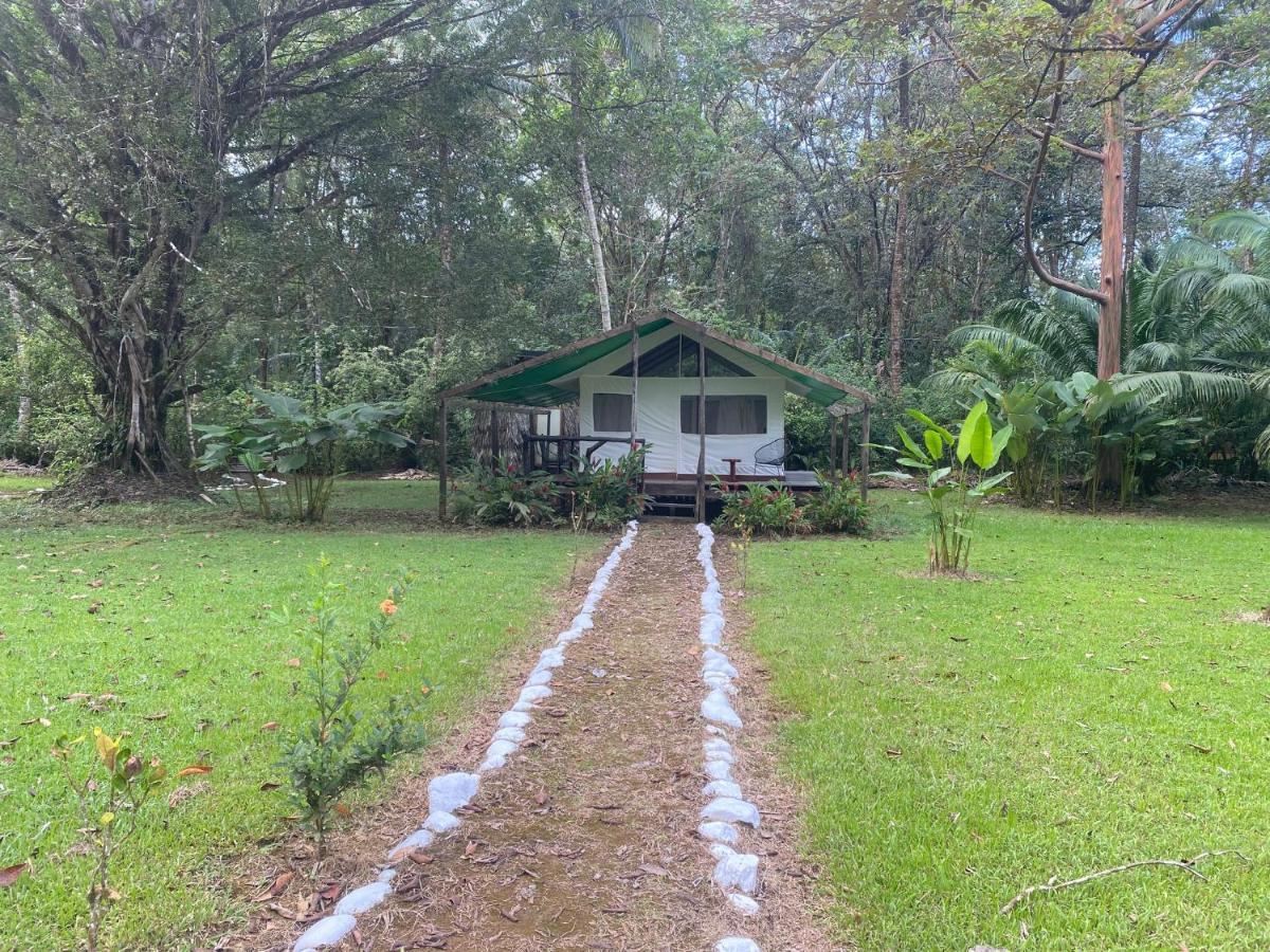Sabalo Lodge Tours And Cabins Sierpe Exterior photo