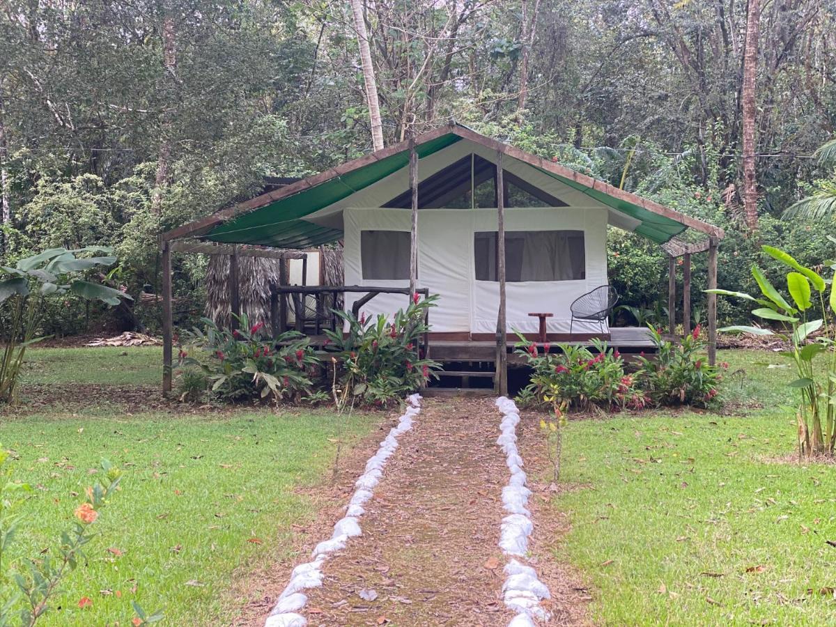 Sabalo Lodge Tours And Cabins Sierpe Exterior photo