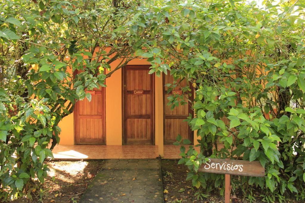 Sabalo Lodge Tours And Cabins Sierpe Exterior photo