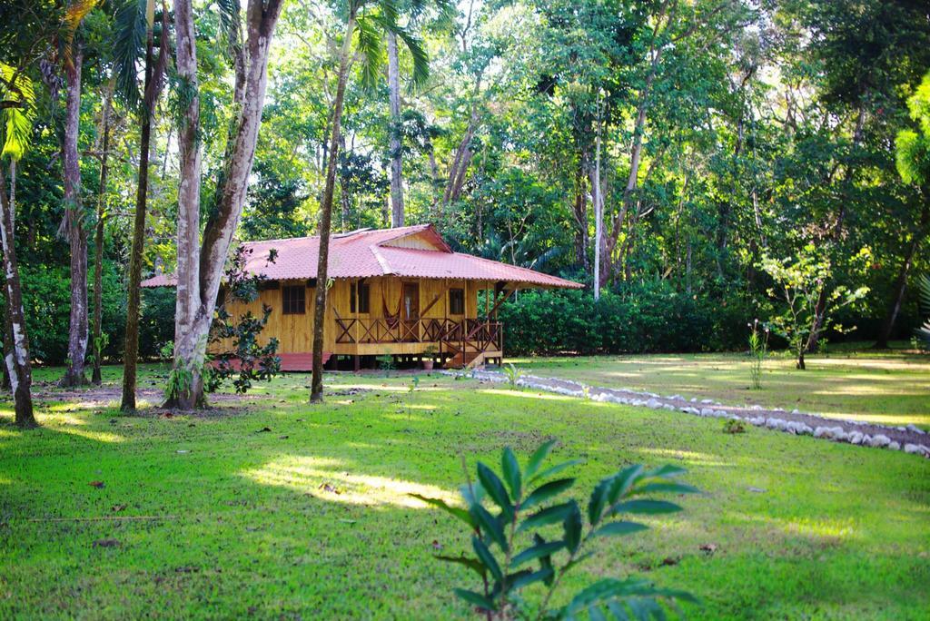 Sabalo Lodge Tours And Cabins Sierpe Room photo
