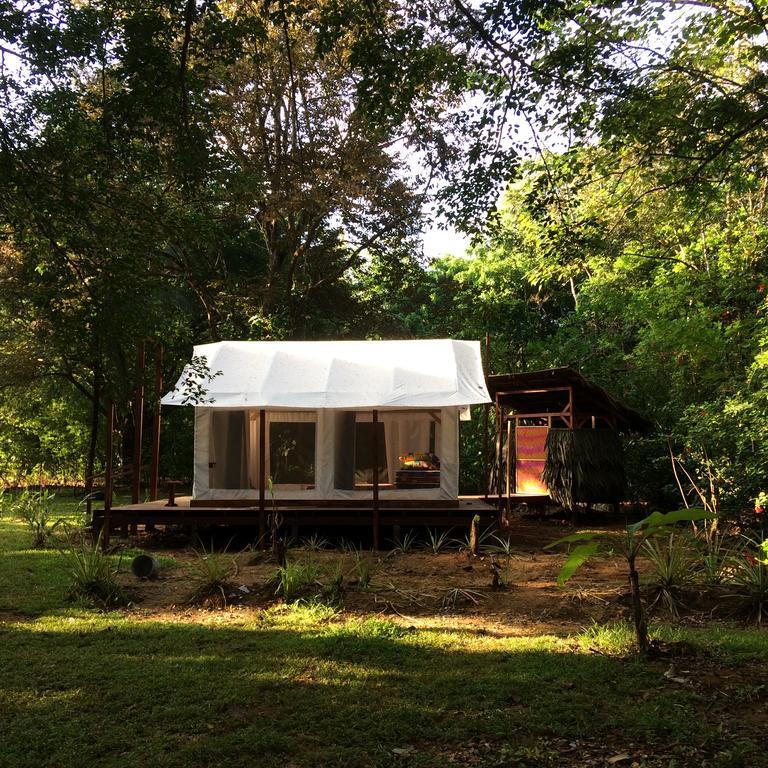 Sabalo Lodge Tours And Cabins Sierpe Exterior photo