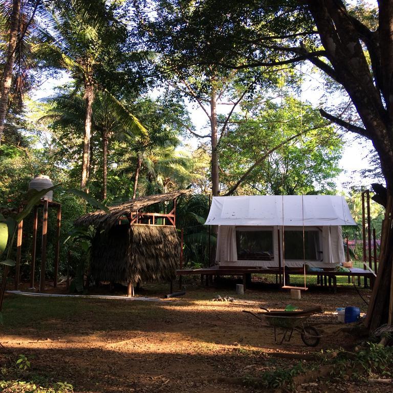 Sabalo Lodge Tours And Cabins Sierpe Exterior photo